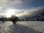 SX02568 Shadow of tree on snow in Wicklow mountains.jpg